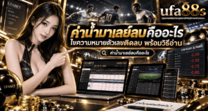 ค่าน้ำมาเลย์ลบคืออะไร