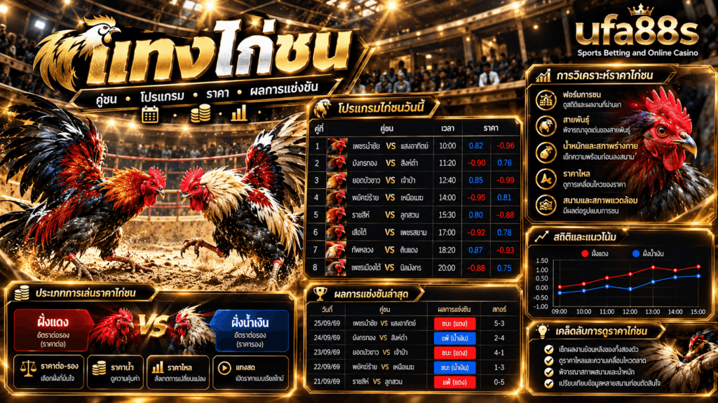 แทงไก่ชน