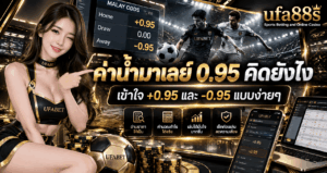 ค่าน้ำมาเลย์ 0.95 คิดยังไง