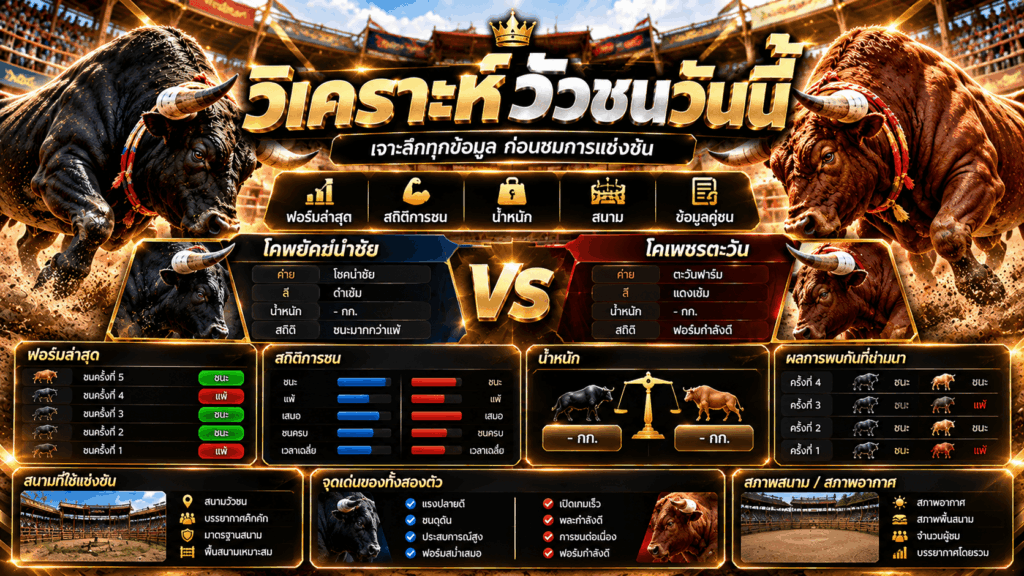 แทงวัวชน